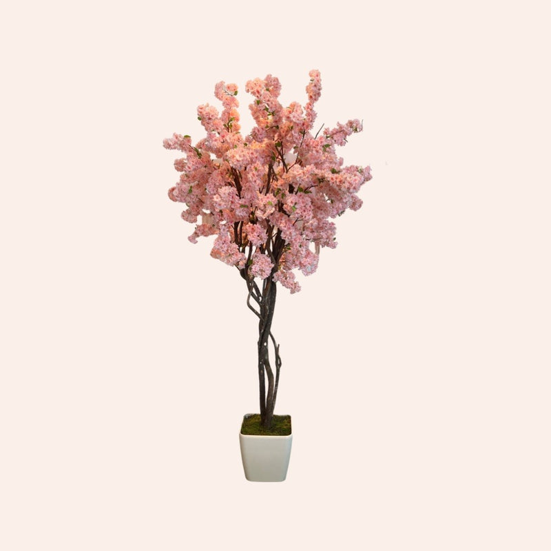 Pink Cherry Blossom Tree